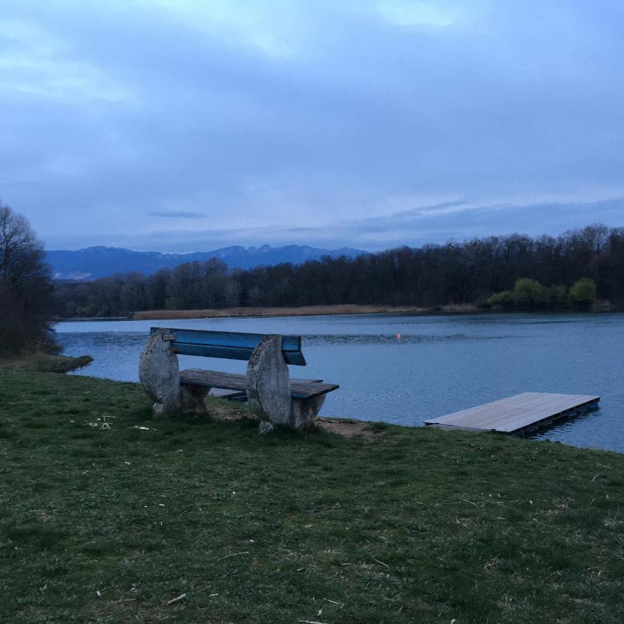 La Villa De Lise Romans-sur-Isère Esterno foto