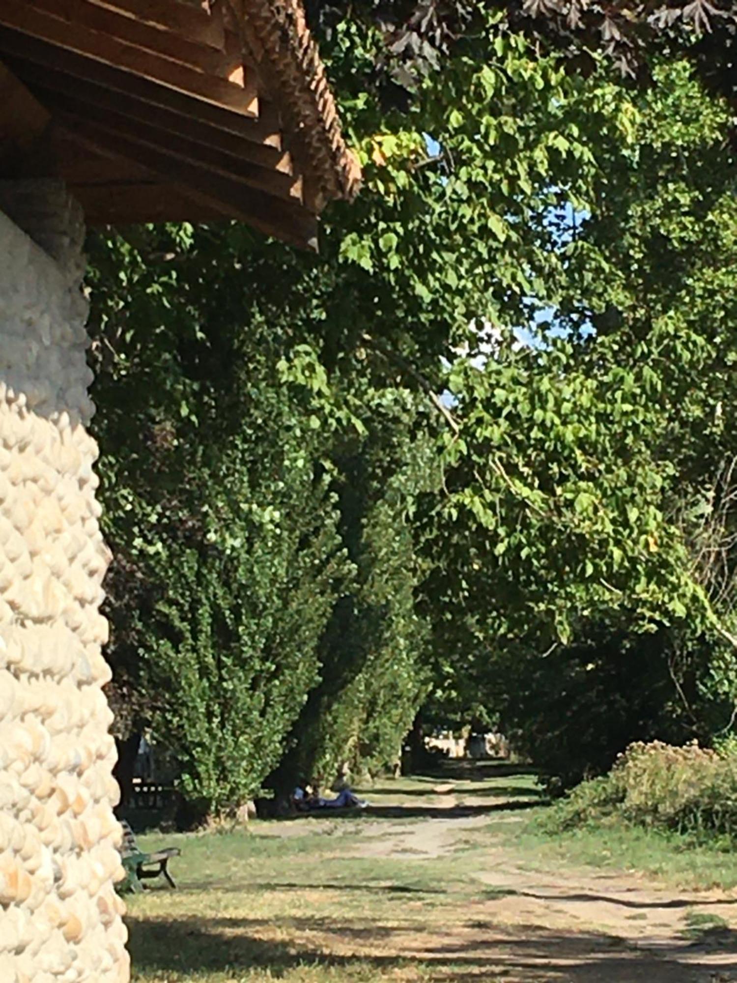 La Villa De Lise Romans-sur-Isère Esterno foto